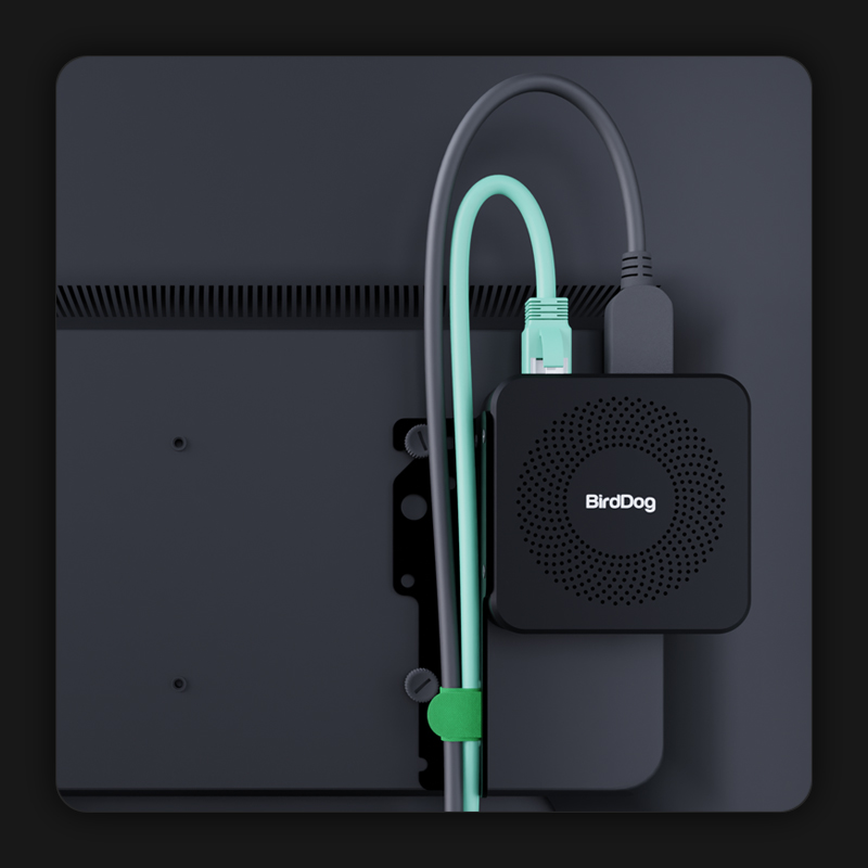 Birddog PLAY PRO – Bild 4