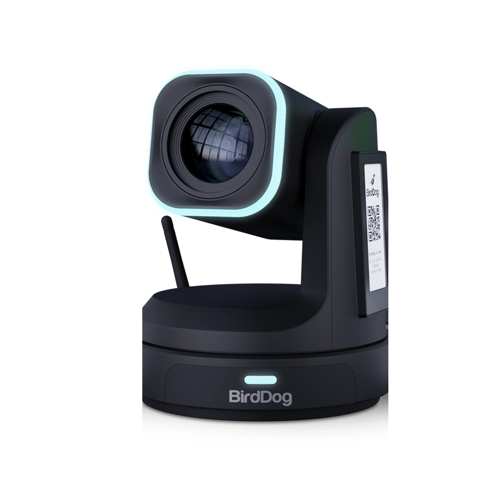 Birddog X1 30x Black