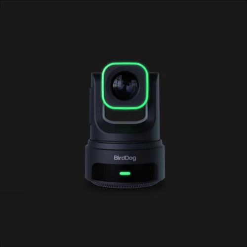 Birddog X4E Ultra Black