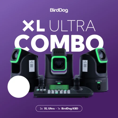 Birddog 3x XL black + 1x KBD Combo
