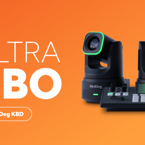 Birddog 3x X4EU black + 1x KBD Combo